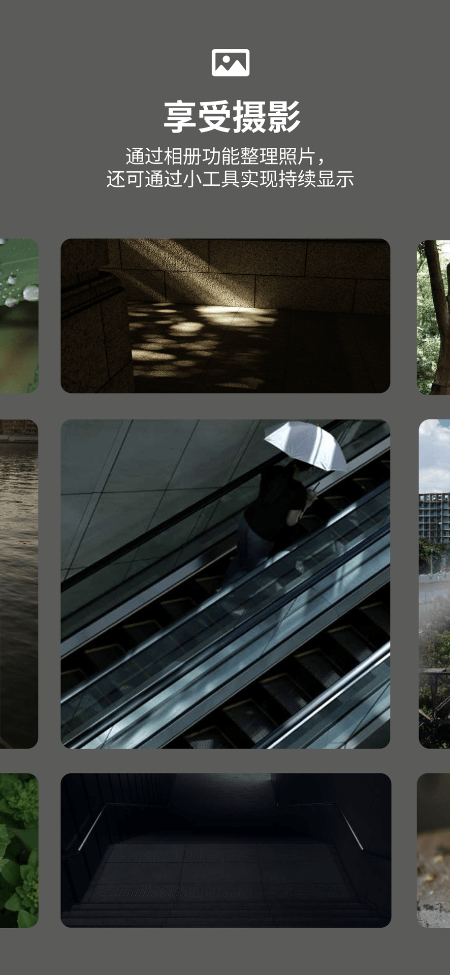 精彩截图-RICOH GR WORLD2026官方新版