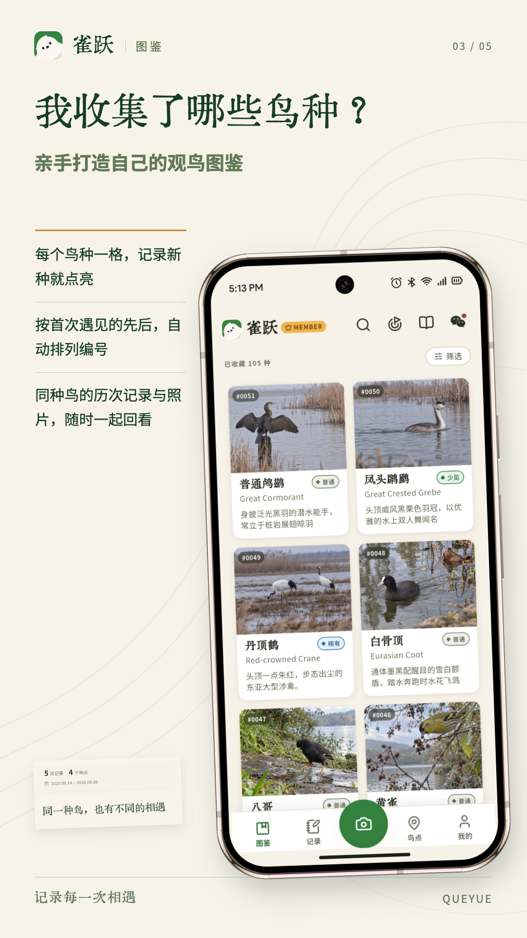 精彩截图-雀跃2026官方新版