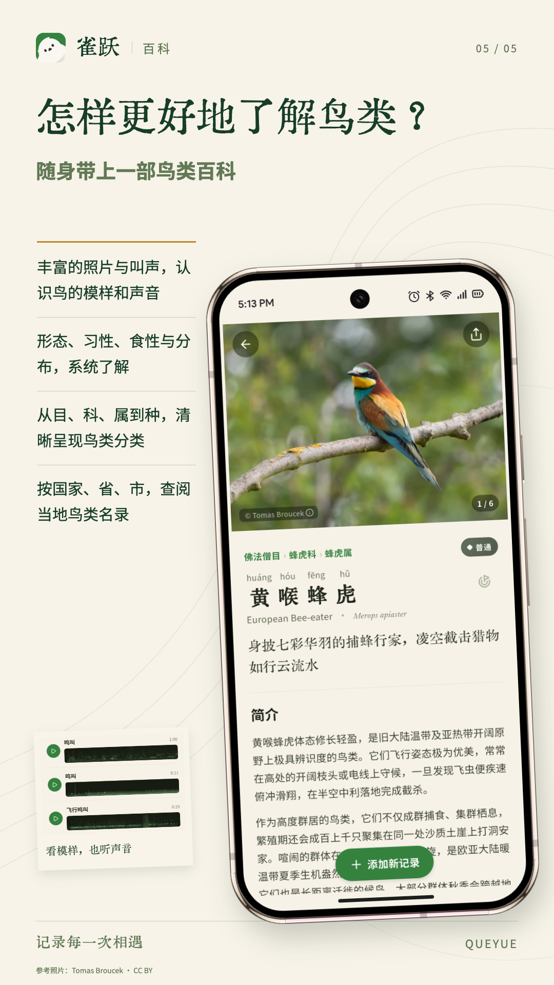 精彩截图-雀跃2026官方新版