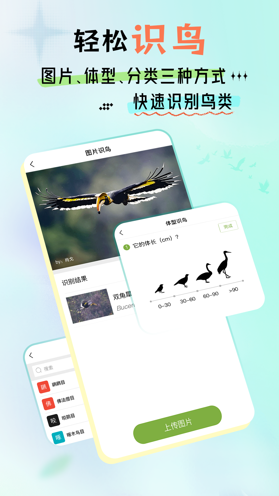 精彩截图-观鸟手记2026官方新版