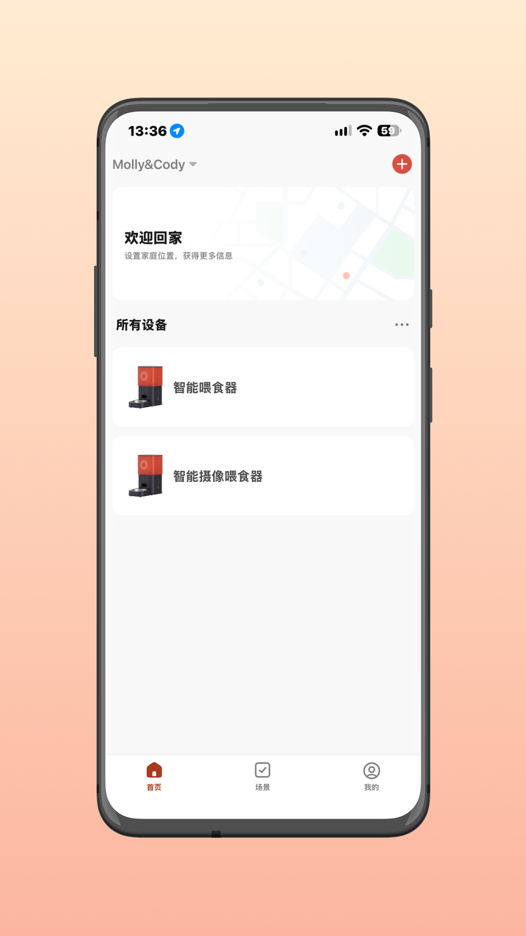 精彩截图-Molly Cody Smart2026官方新版