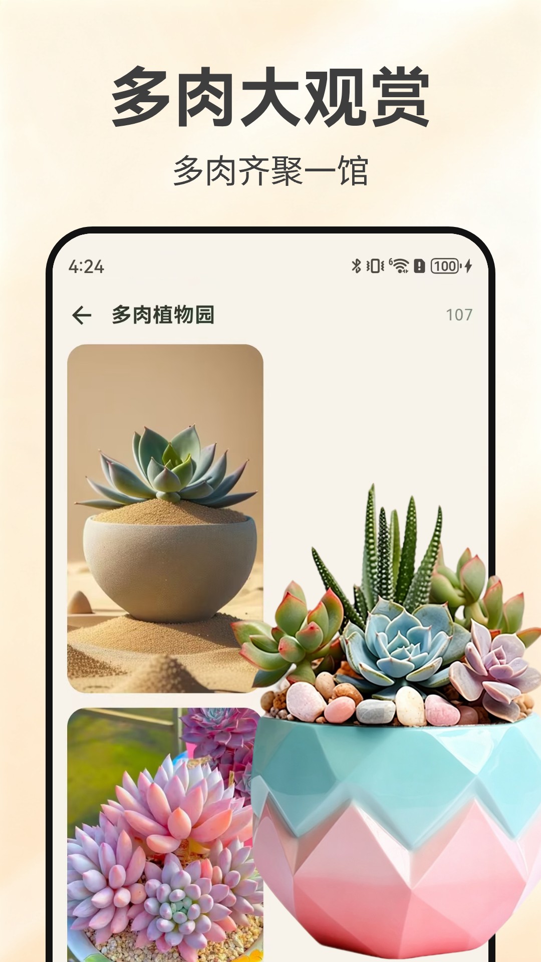 精彩截图-草木时光集2026官方新版