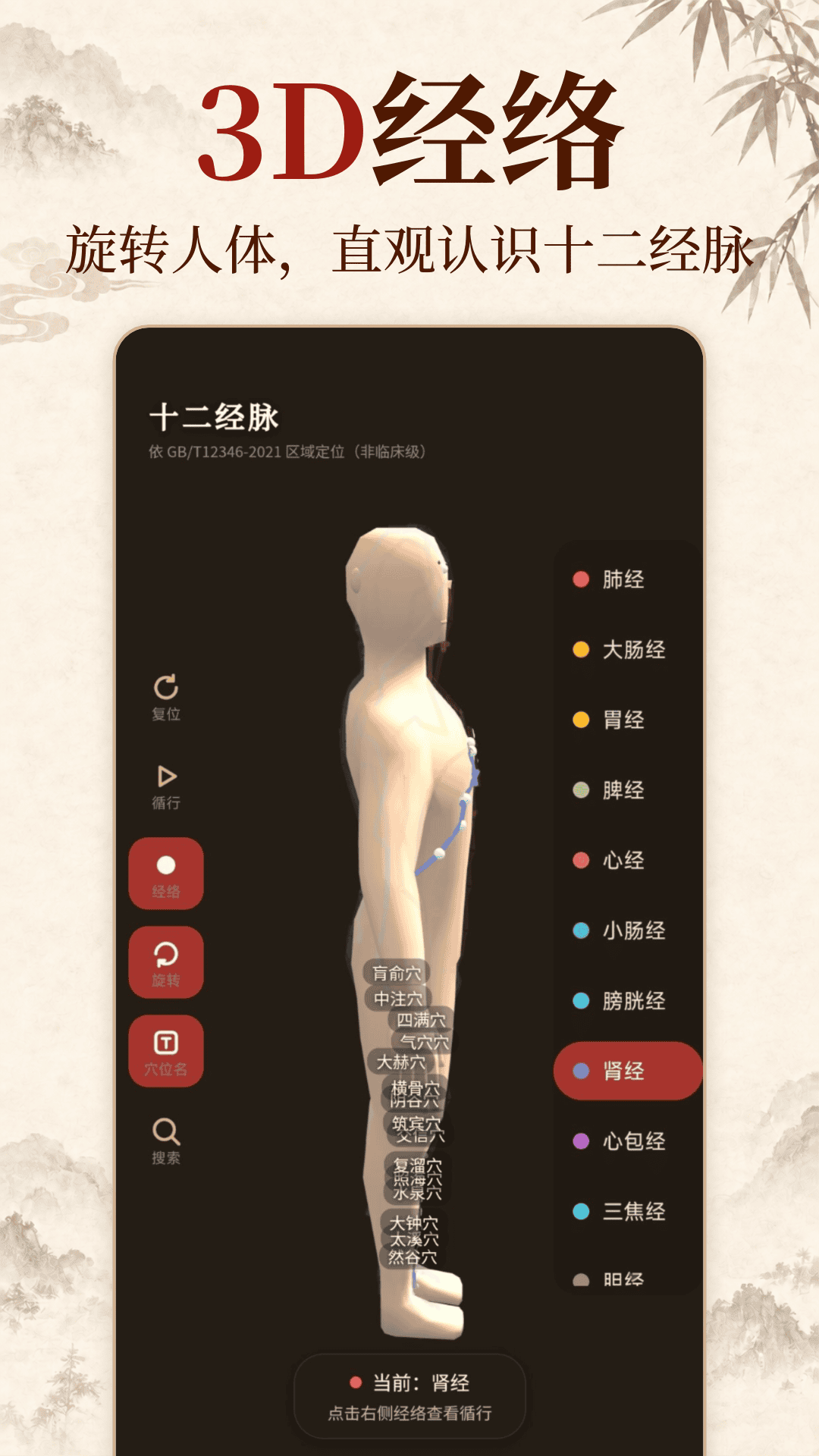 精彩截图-中华经络穴位2026官方新版