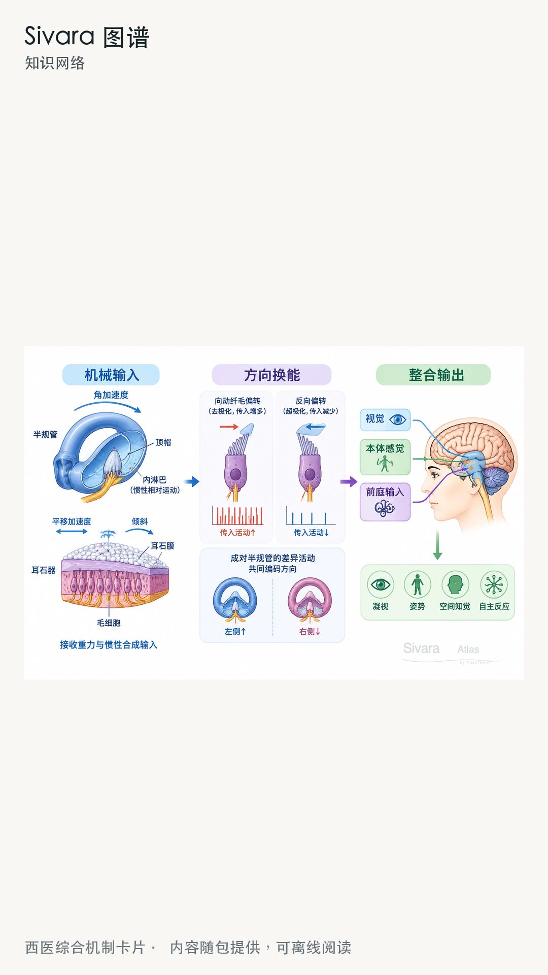 精彩截图-Sivara图谱2026官方新版