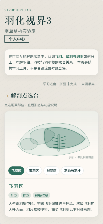 精彩截图-羽化视界32026官方新版
