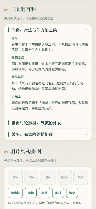 精彩截图-羽化视界32026官方新版