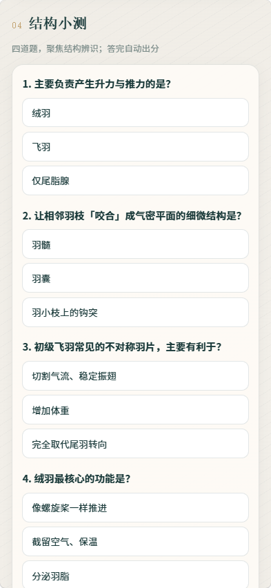 精彩截图-羽化视界32026官方新版