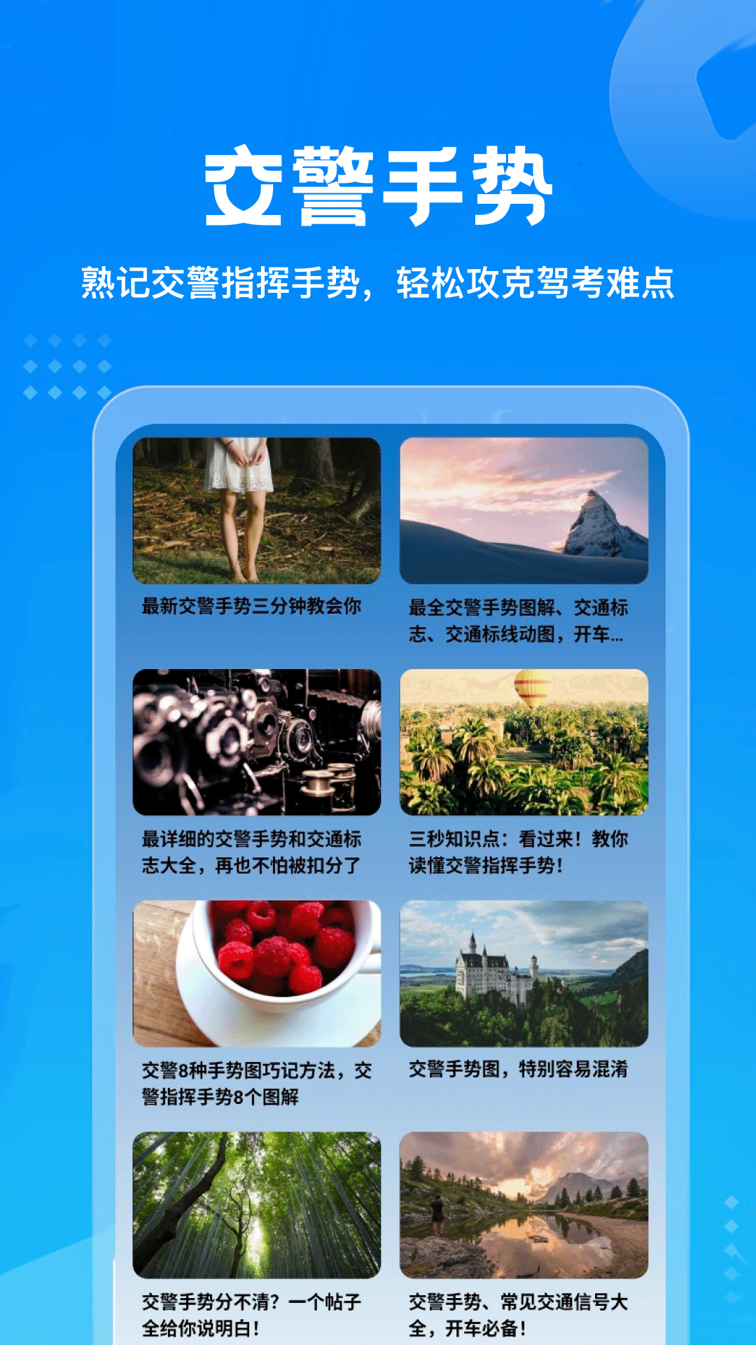 精彩截图-Carpaly2026官方新版