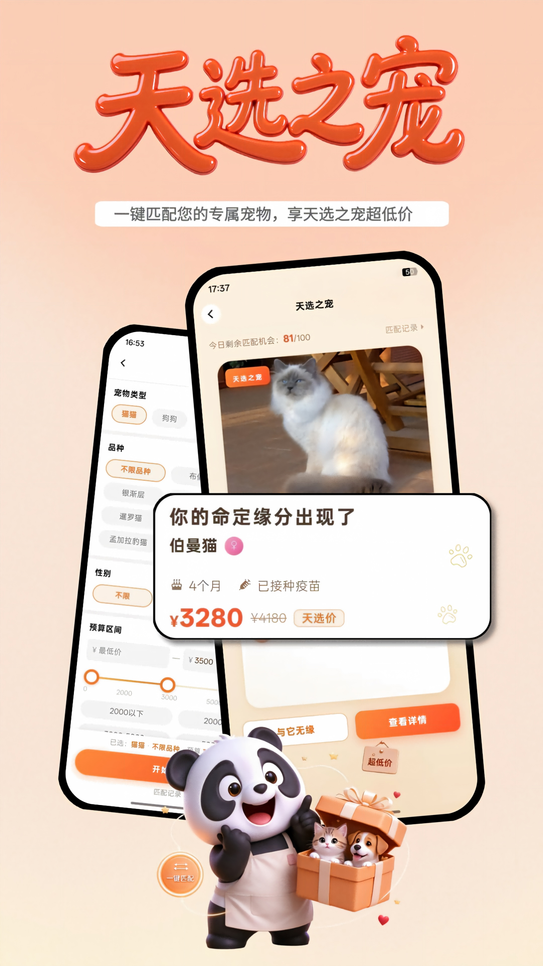 精彩截图-熊猫养宠2026官方新版