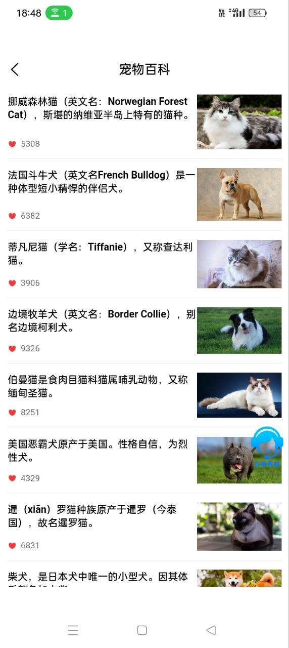 精彩截图-汉映宠伴2026官方新版