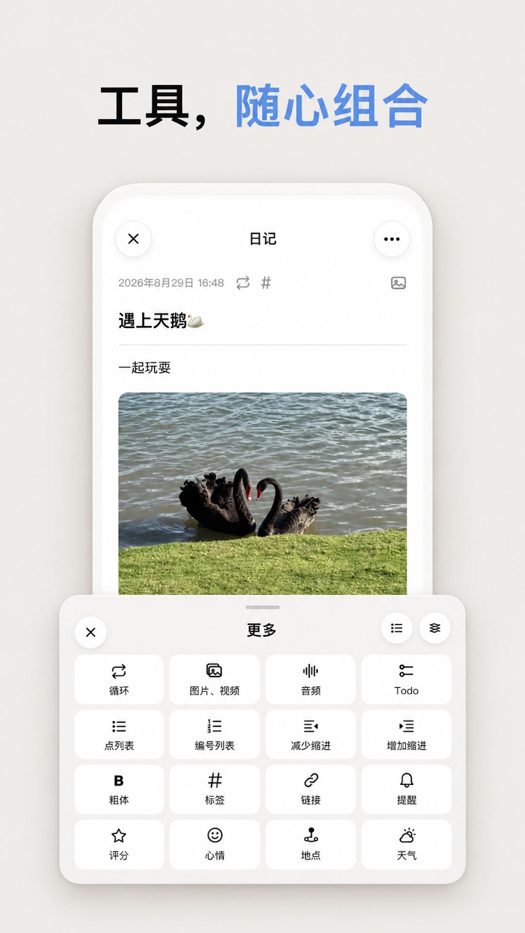 精彩截图-ArkNote2026官方新版