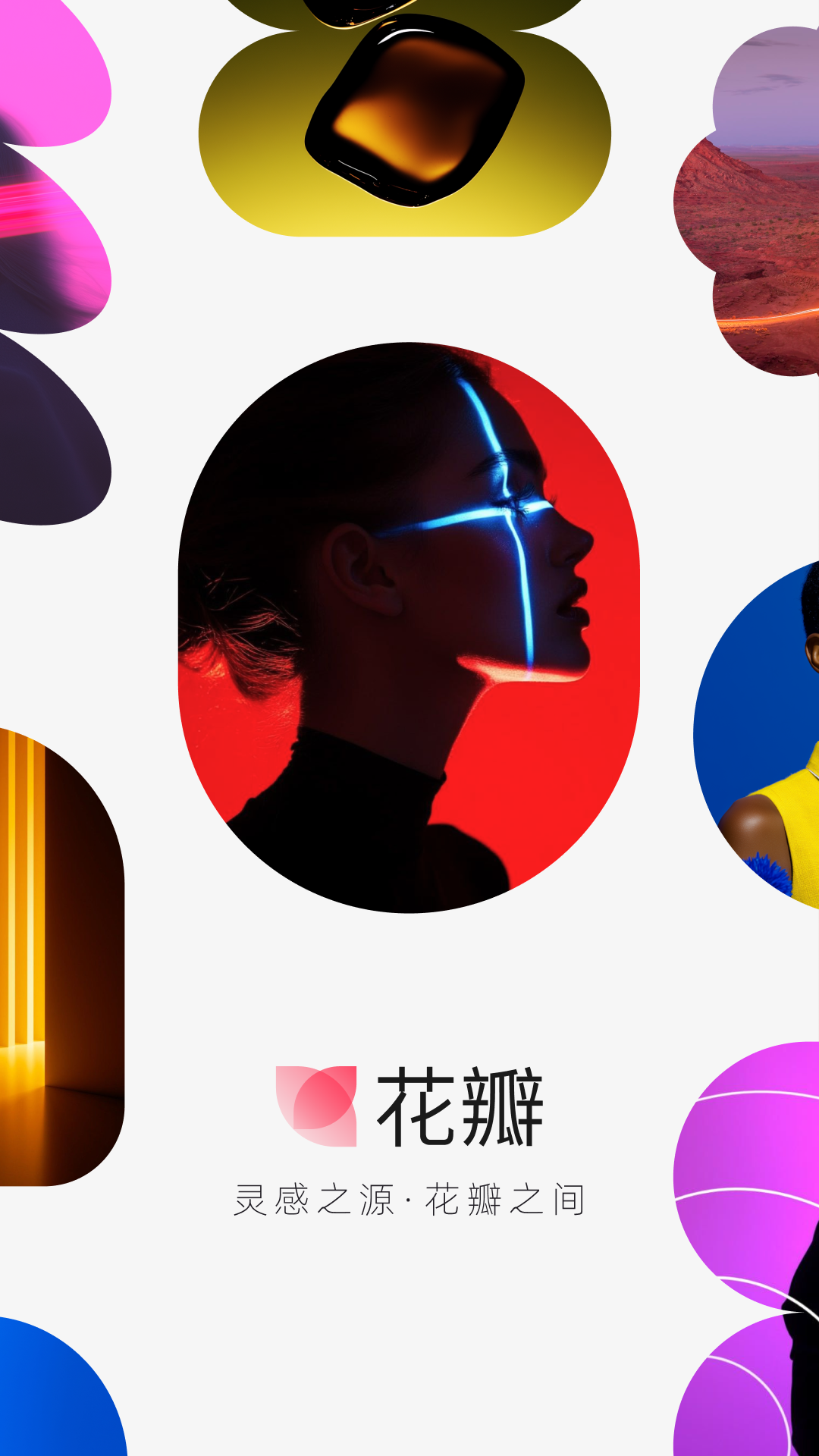 精彩截图-花瓣2026官方新版