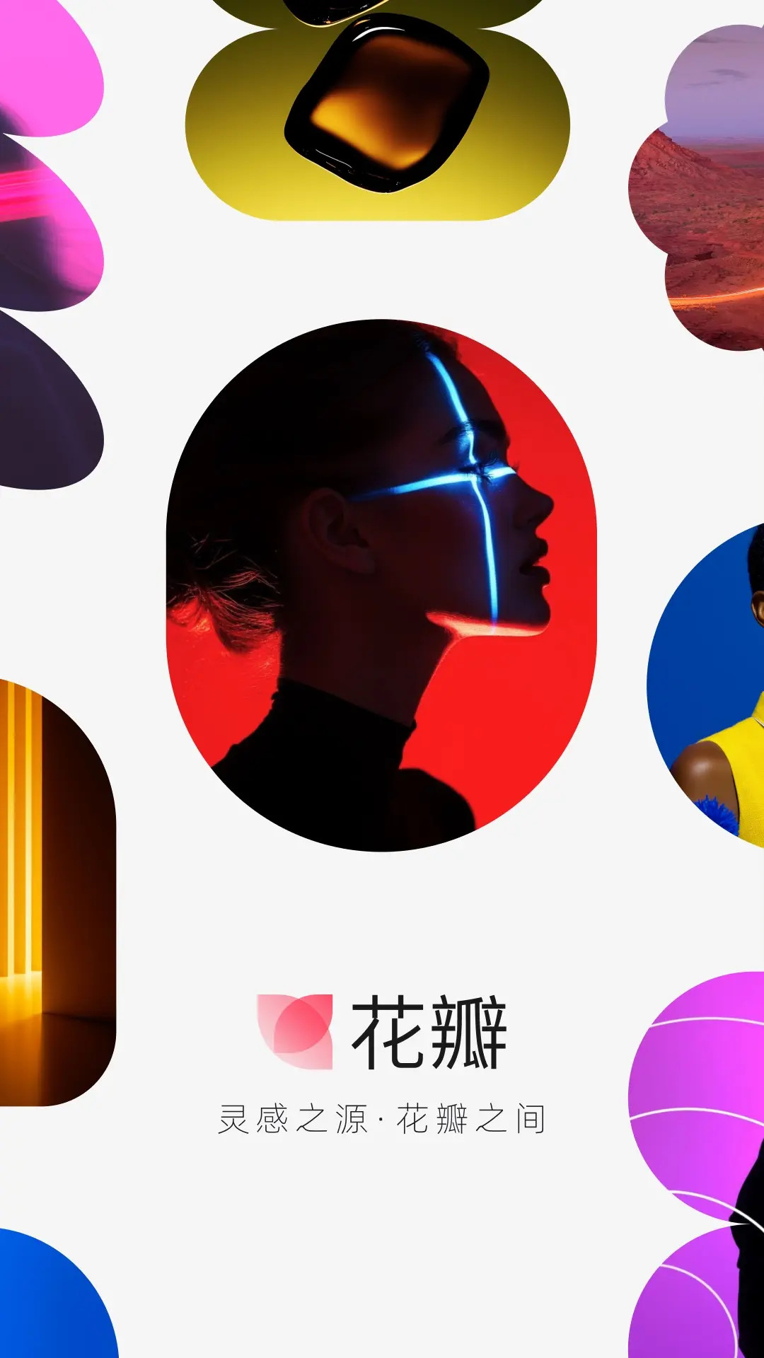 精彩截图-花瓣2026官方新版